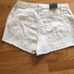 High Rise Shorts (Size 12)